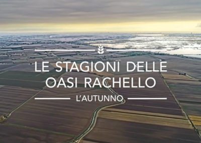 L’autunno Oasi Rachello