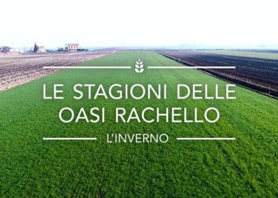 L’inverno Oasi Rachello